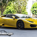 Lamborghini Dreams